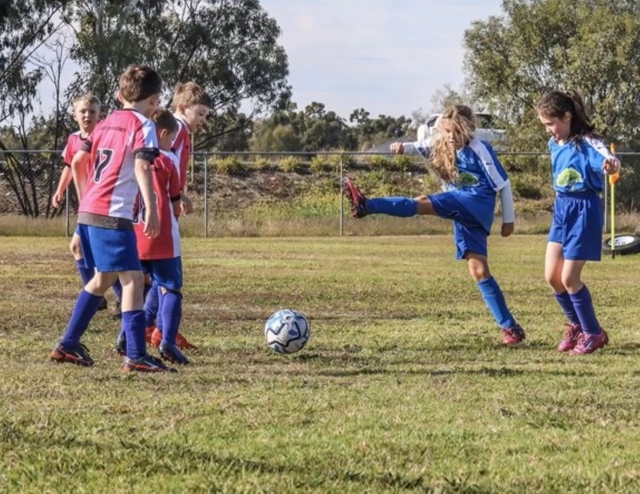 Junior soccer hot shots | Goondiwindi Argus