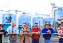 The Mayor’s desk for this week