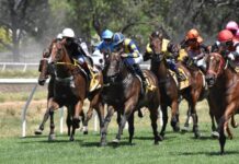 A big year of racing