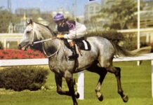 Gunsynd weekend a not-to-miss celebration