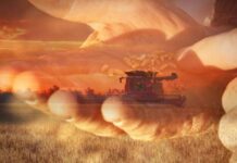 Get your Show pics in