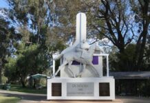 Poor cousin of Magic Millions