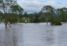 Assistance for flooded producers
