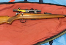 homicide rate at record low