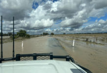 Wet weather postpones Gundy 250