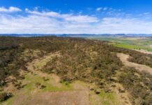 Pilot training program to boost rural GPs shows early success