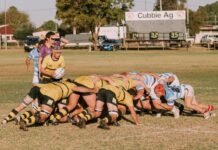 Mixed bag for Emus in St George