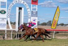 Geran’s Stable add Inglewood to cups victory list