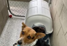 MAPR and Care Goondiwindi recipients of much needed grant