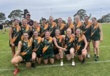 Hawkettes have wings clipped by Cougars