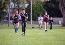 A Bright Future for the Inglewood MacIntyre Sports Complex