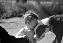 Kathryn shows Spirit of the Bush