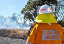 Smoke Alert: Boondandilla State Forest