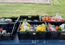 Coles gives back through SecondBite