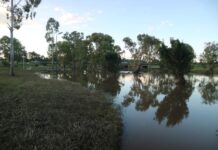 Let’s make sure they get it right!