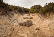 Decade-long drought ends for large parts of Queensland