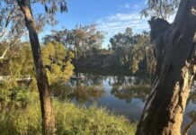 Buybacks success rests on voluntary tender, not QLD Govt support