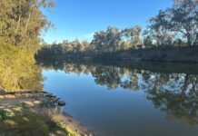 Ripple of uncertainty about MDB buy back plan