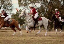 Horsemanship and teamwork shine at Polocrosse