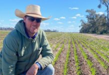 Drought times: We need to look after the people as well