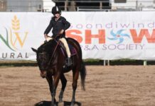 Kids take centre stage a Pony Club camp draft and Gymkhana