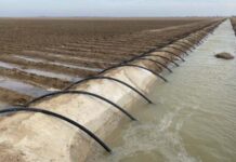 Australian Ag kicking goals in on a global scale