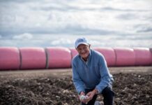 Cotton kicking sustainability goals, but theres still remove to improve