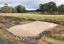 Acciona the neighbours from hell