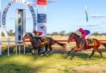 Giddy up for race club upgrades