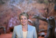 MDB Plan extension the right move for regional communities