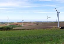 Renewable projects a kick in the guts: ‘Zero jobs or economic investment’