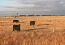 Methane doesn’t leave a climate imprint