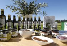 Have your say on Labor’s abominable food tax