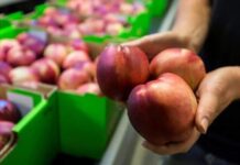 Biosecurity levy: Have your say