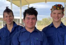 Wild hair for a cure