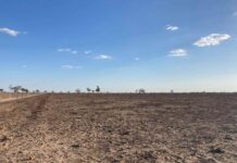 Weather and market prices chief concerns for QLD farmers