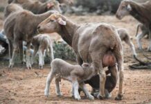 It’s official . . . El Nino is here