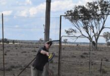 Close race to the finish for winter tennis fixtures