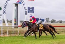 All ready for the Gundy Cup