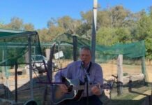 Home Grown Festival returns