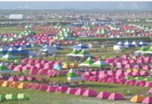 Molly thrives at scout jamboree