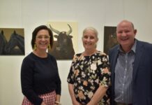 Natural Harmony in the Art Space