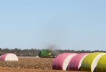 More bureaucracy, says grower