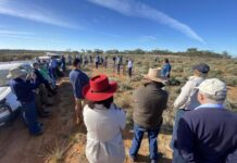 The online tool helping farmers navigate the carbon ‘confusopoly’