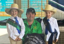 Horse and courses and school horse sports