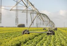 Gear up for the dry with QRIDA grants and loans