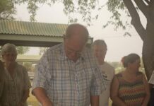 Drive, Revive, Survive