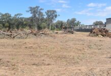 Vegetation management framework to be strengthened