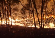 Lives saved, one shed lost in another devastating Millmerran bushfire