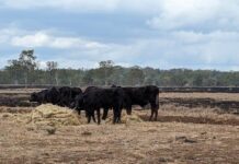 360 bales provide emergency relief